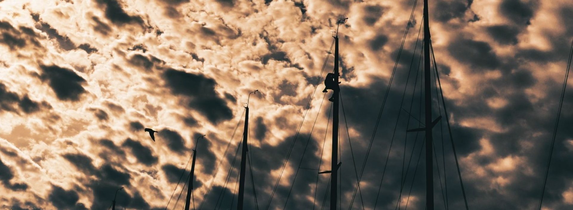 Gales return for 44Cup Marstrand